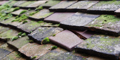 Horndon On The Hill roof repair costs